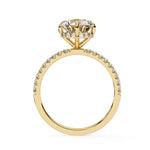 Moissanite Solitaire Sterling Silver Ring
