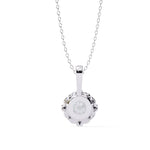 The Circinus Pendant