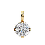 The Circinus Pendant