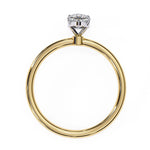 The Classic Xaria Ring