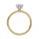 The Pasha Ring