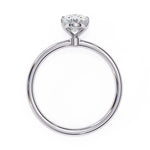 The Pasha Ring