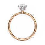 The Pasha Ring