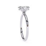 The Pasha Ring