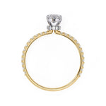 Roplasista Ring
