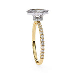 Roplasista Ring