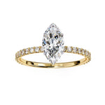 Roplasista Ring