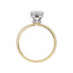 The Craig Ring