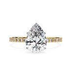 The Craig Ring