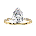 The Craig Ring