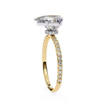 The Craig Ring