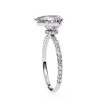 The Craig Ring