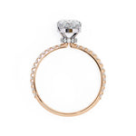 The Craig Ring