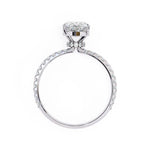 The Craig Ring