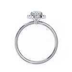 Glittering Diamond Rings