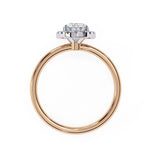 Glittering Diamond Rings