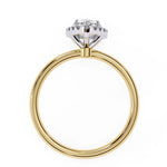 Eclectic Diamond Solitaire Ring