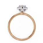 Eclectic Diamond Solitaire Ring