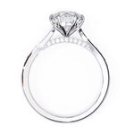 The Sylka Ring