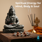 Rudraksha Bead Bracelet in Sterling Silver